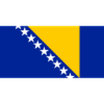 Bosnia & Herzegovina national football team logo