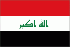 Iraq national football team logo