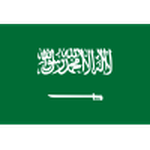 Saudi Arabia national football team logo