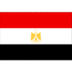 Egypt national football team logo